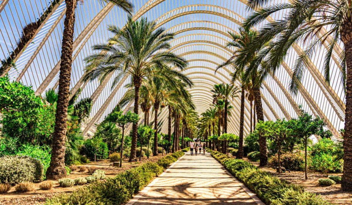 Ciudad de las Artes palmen