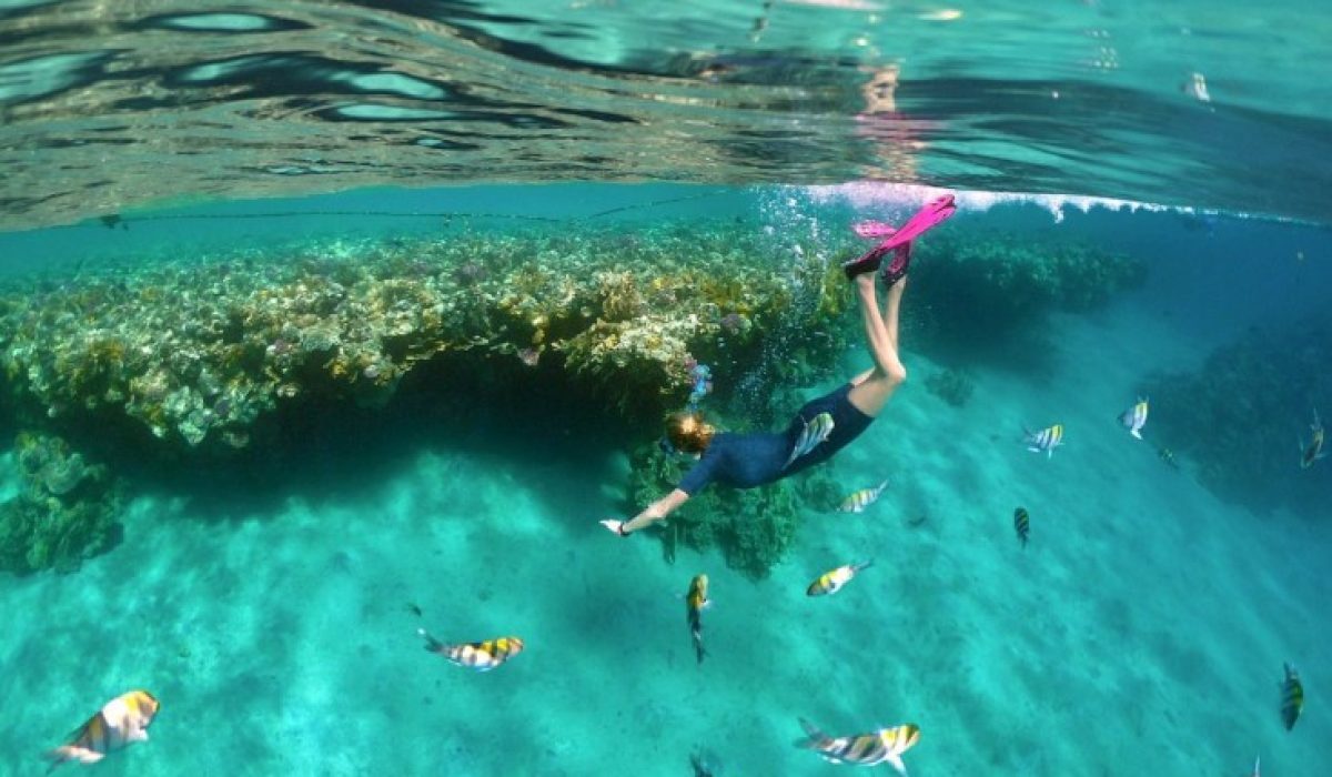 Duiken snorkelen Marsa Alam huisrif