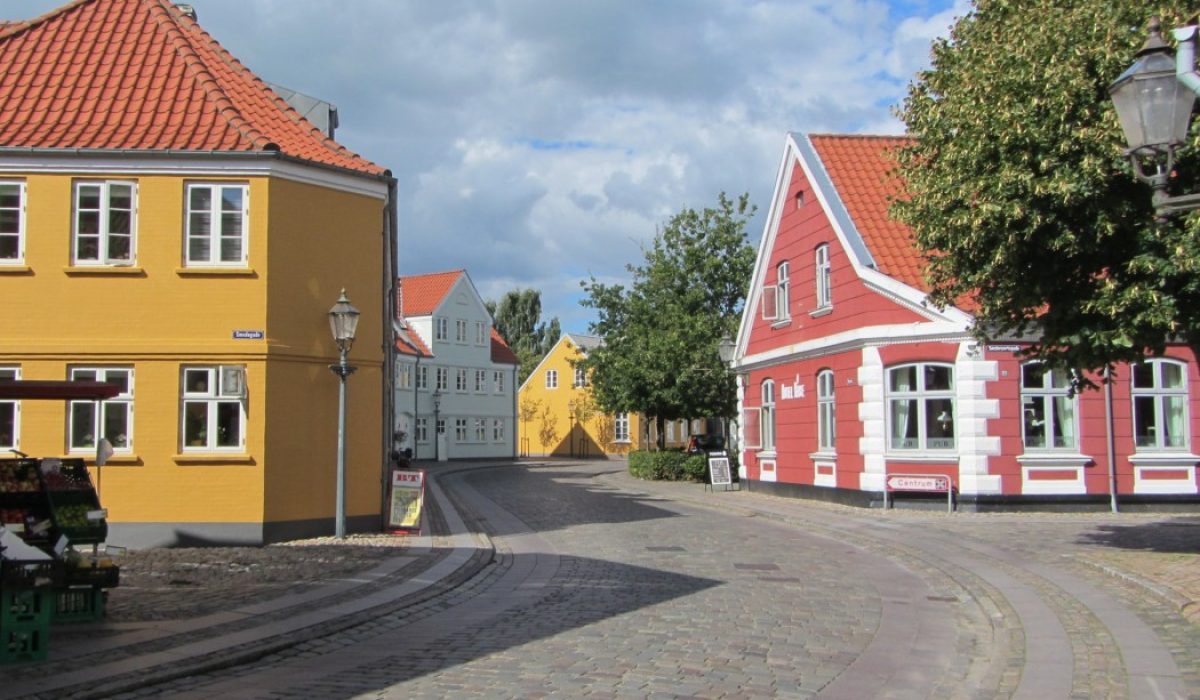 Ribe centrum