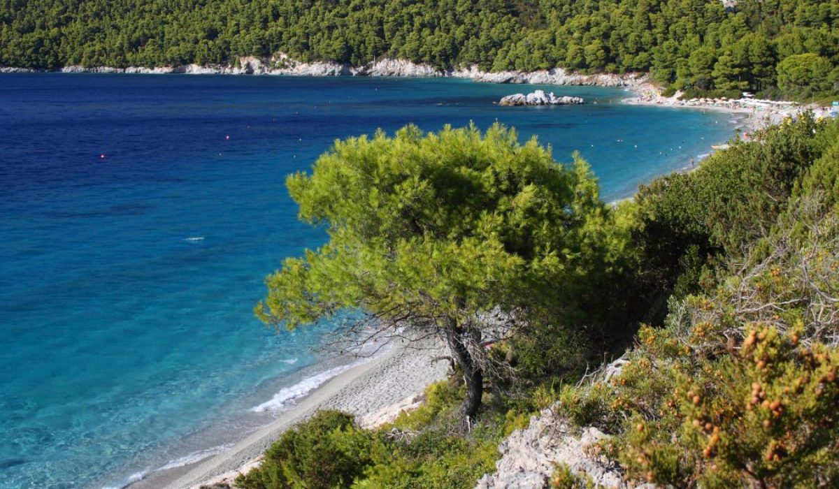 Skopelos landschap