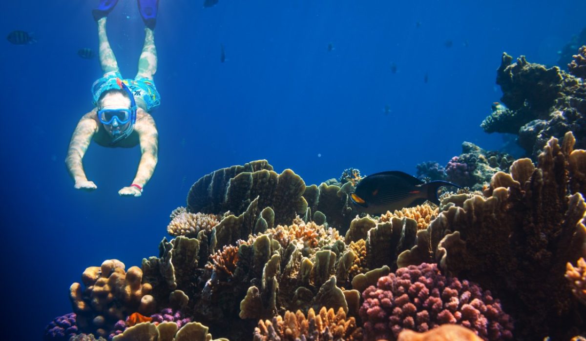 Snorkelen bij rif in Egypte